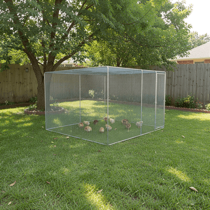 Auto-Lock Chicken Coop with UV-Proof water-ready Cover