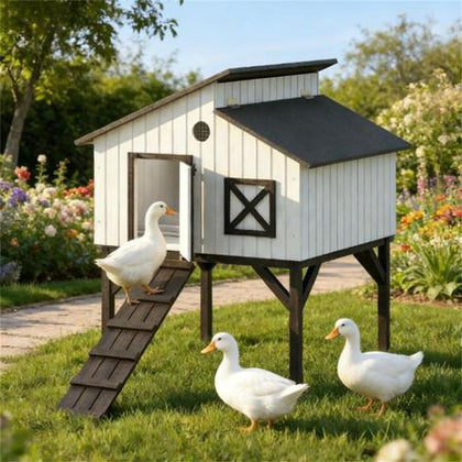 Elevated Chicken Coop with Nesting Box and Ramp – everyday Fir furniture-style