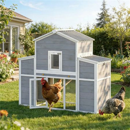 furniture-style Chicken Coop with Secure Run for 2–4 Chickens