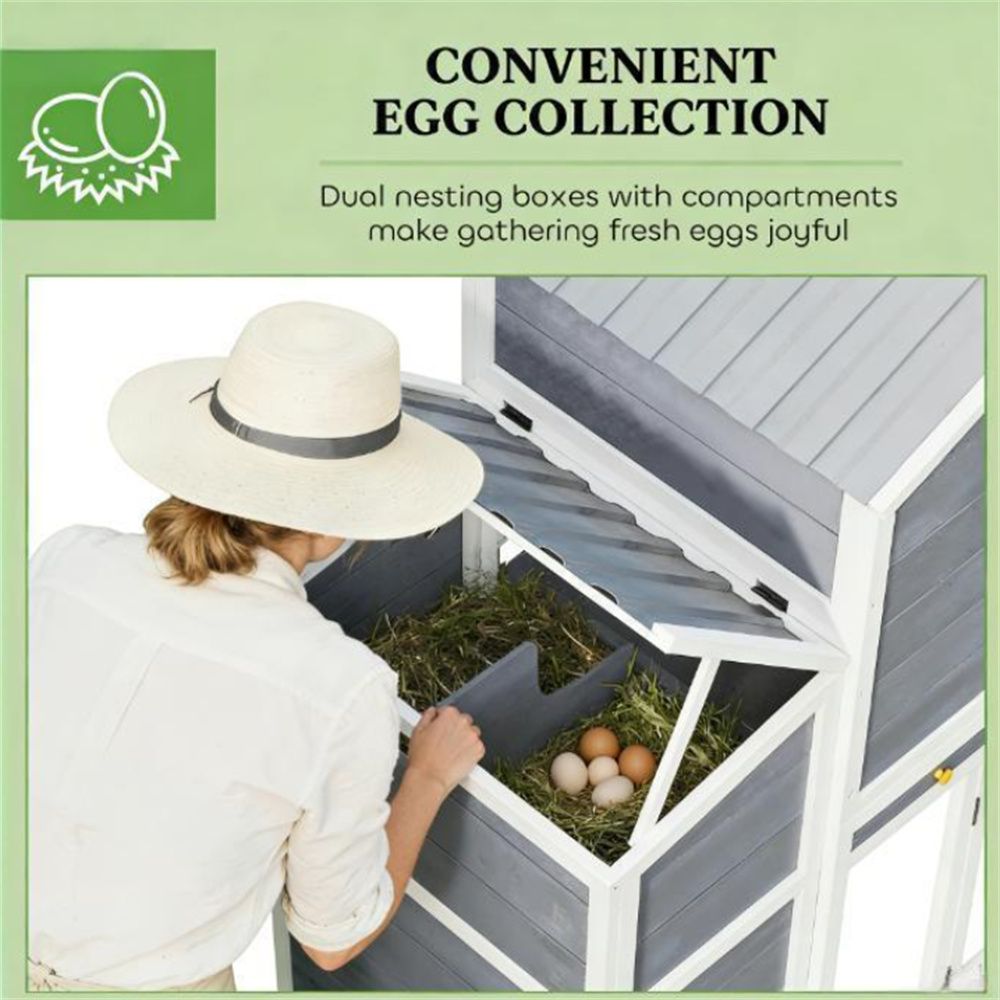 furniture-style Chicken Coop with Secure Run for 2–4 Chickens