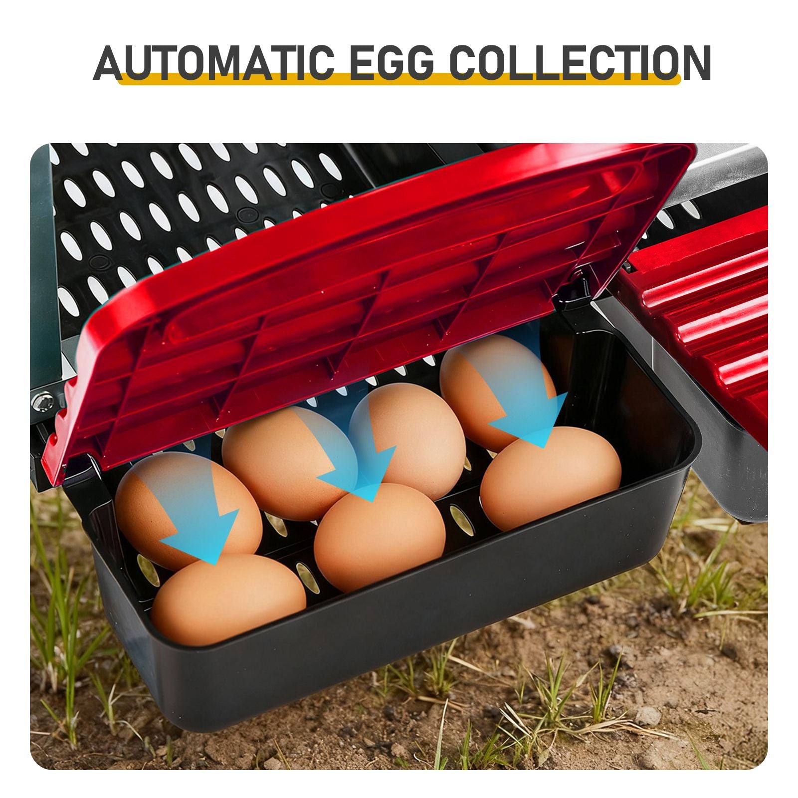 Chicken Nesting Box, 6 Compartment Nesting Box for Laying Eggs, Wall Mount Chicken Brooder Box with Perch, Easy Egg Collection, Cleanable Pull Out Hen Roosting Boxes, 6 Holes, Red