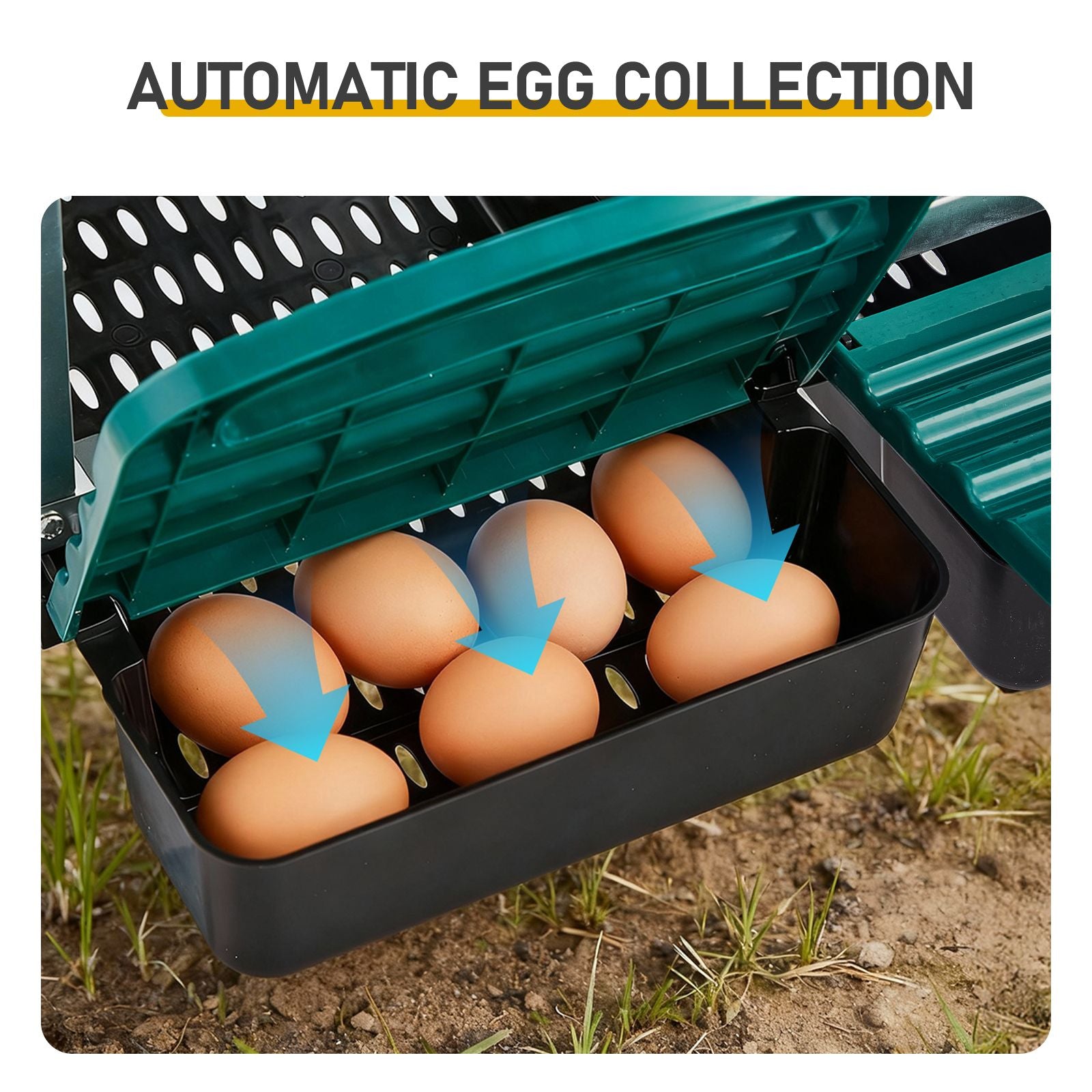 Chicken Nesting Box, 8 Compartment Roll Away Nesting Box for Laying Eggs, Wall Mount Chicken Nesting Boxes, Easy Egg Collection, Cleanable Pull Out Hen Roosting Boxes, 8 Holes, Green