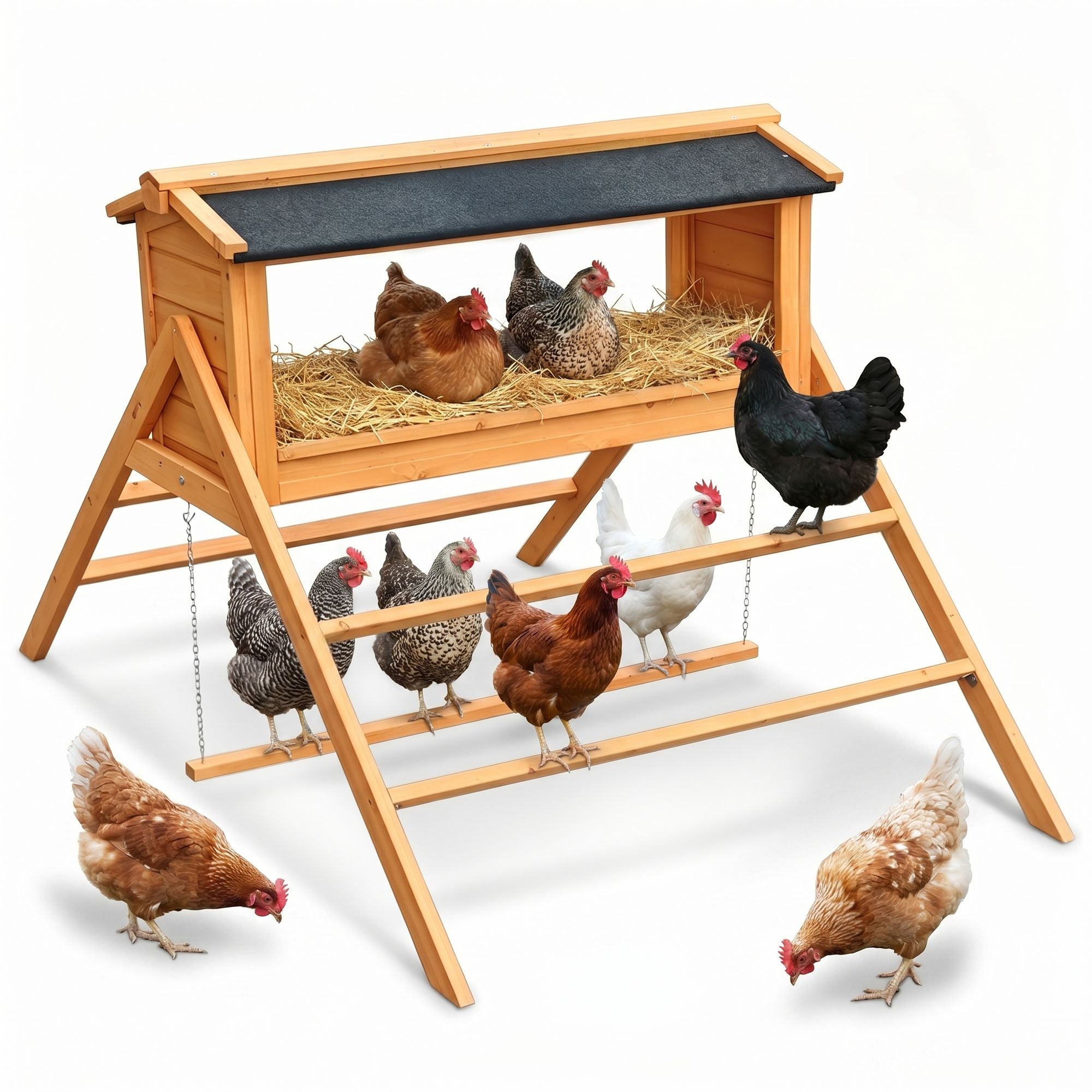 Spacious Chicken Nesting Box with Asphalt Roof and Perch
