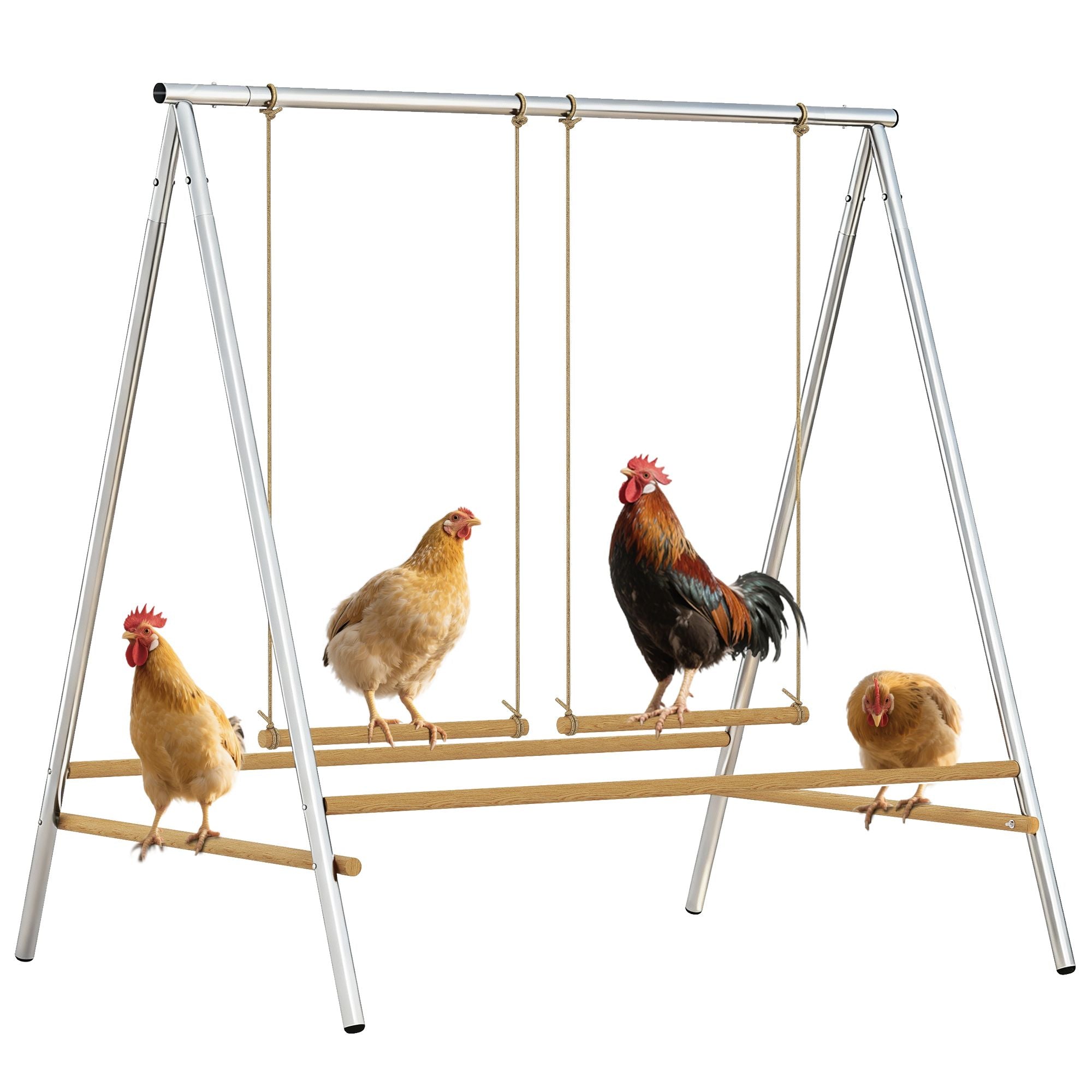 Turn Your Coop into a Fun Playground with This Chicken Perch & Swing Set