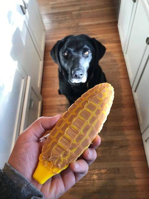 Ultra-everyday Corn on the Cob Nylon Dog Toy for Aggressive Chewers