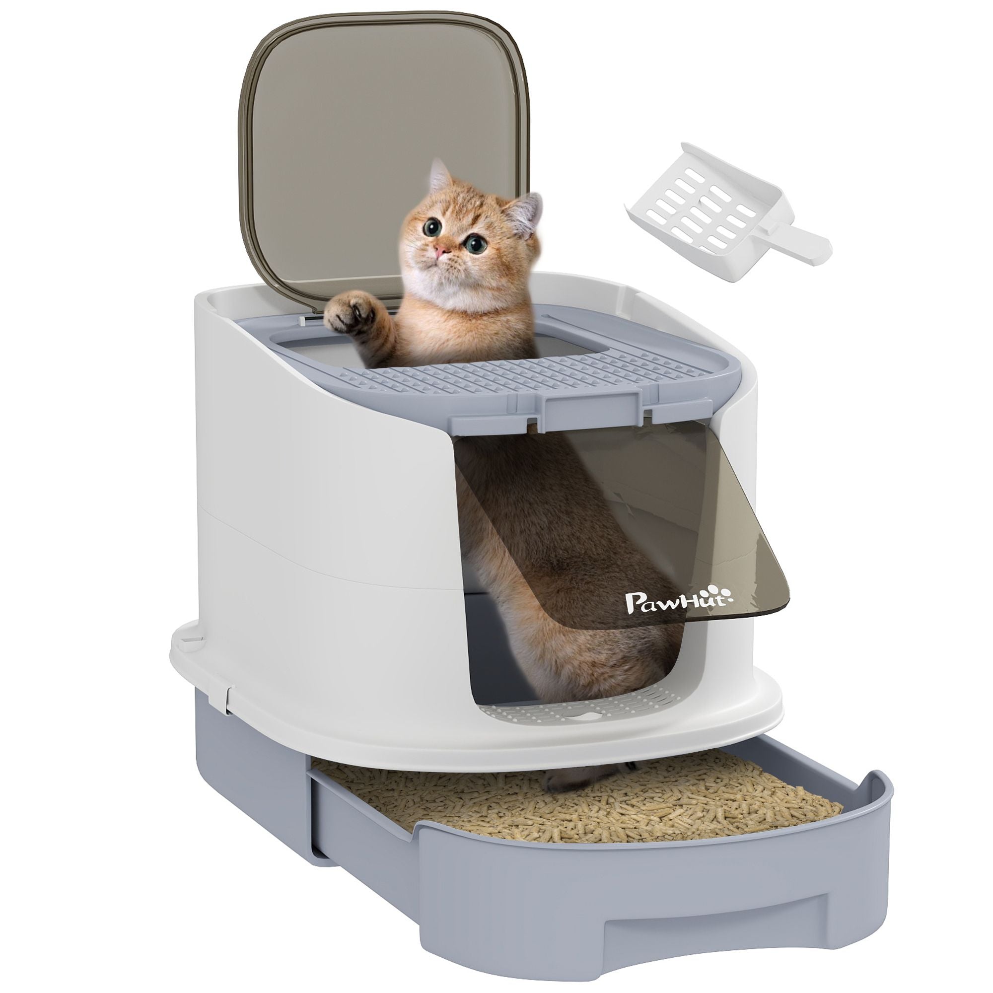 Give Your Cat a Private, Odor-Free Haven with This Easy-Clean Litter Box