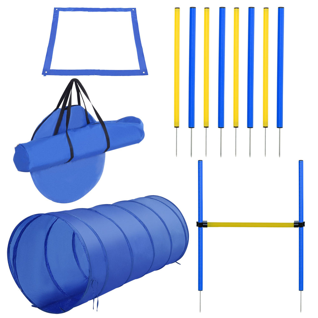 Build Your Dog's Agility Skills with This 4-Piece Training Set