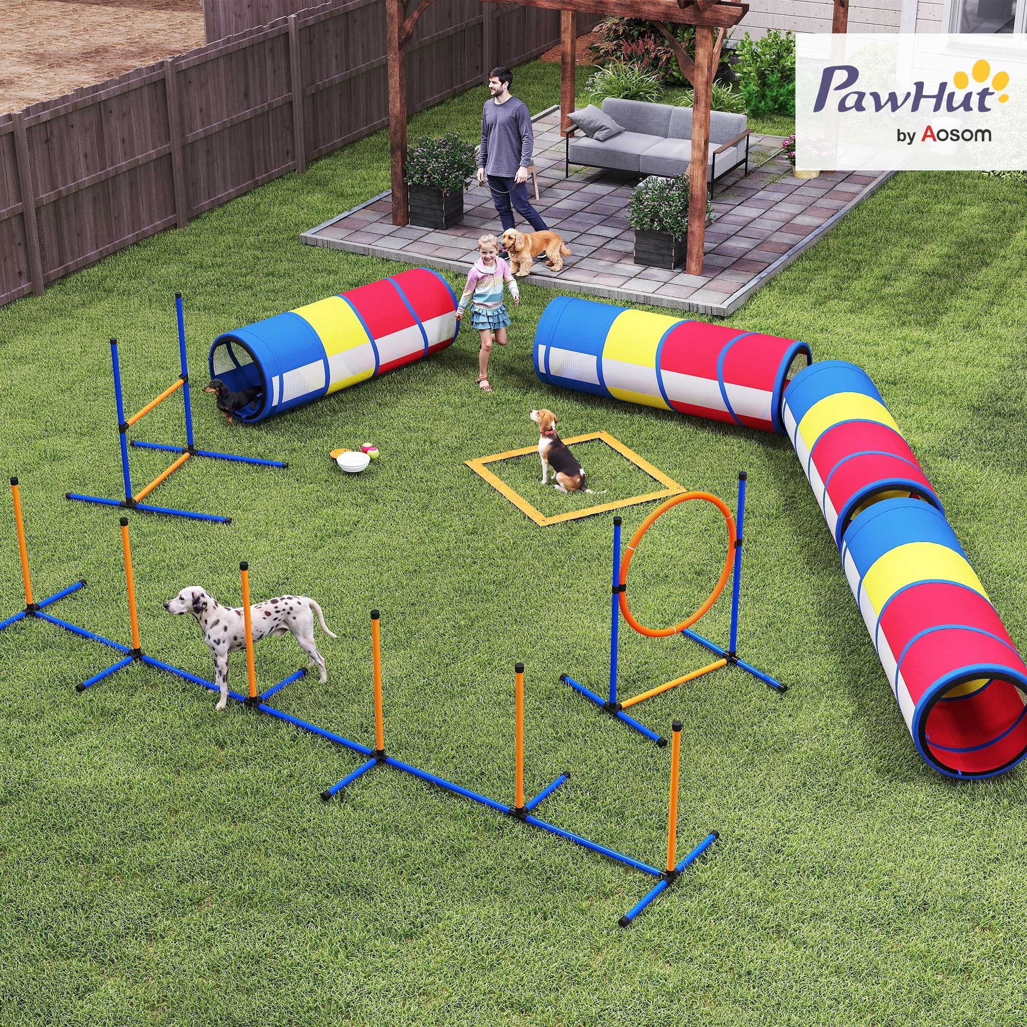 Turn Rainy Days into Doggy Olympics with This Complete Agility Set!