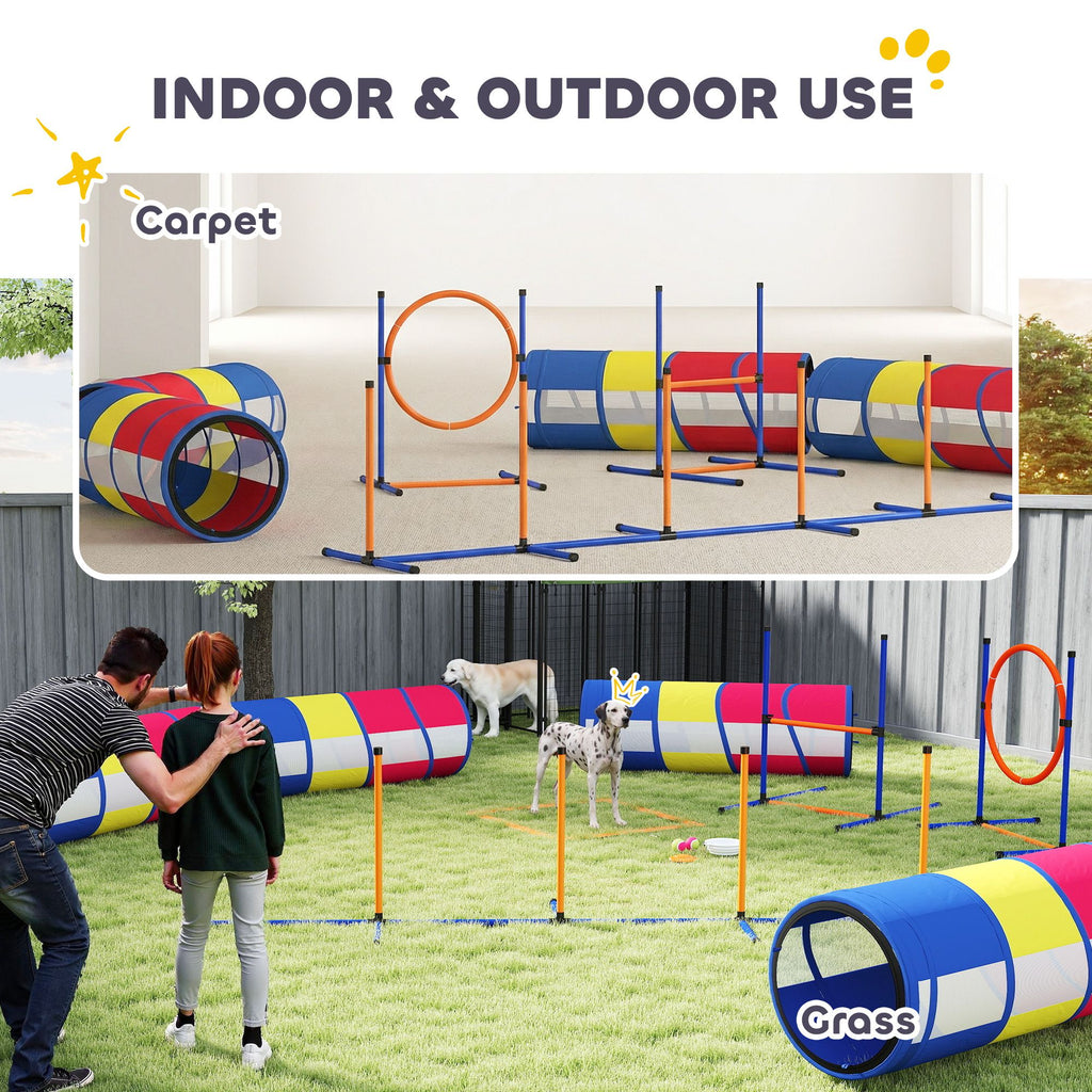 Turn Rainy Days into Doggy Olympics with This Complete Agility Set!