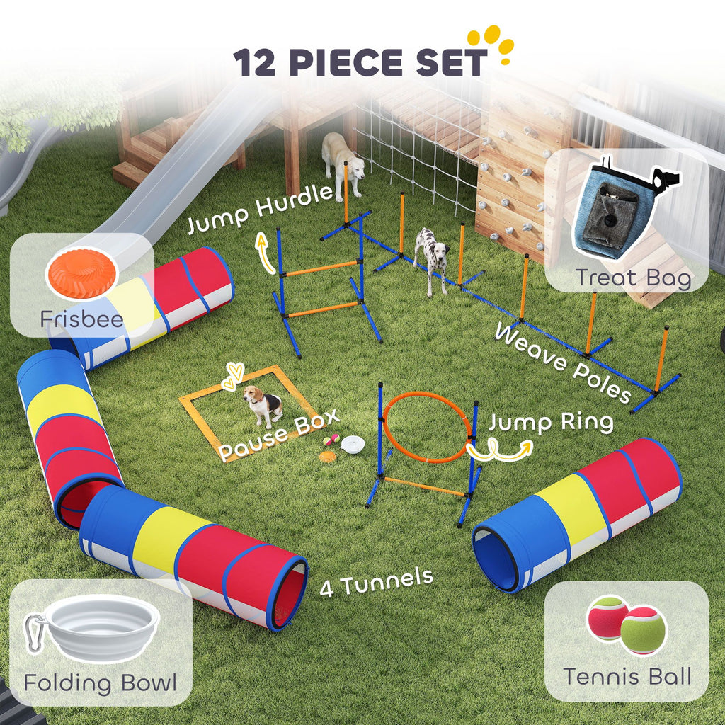 Turn Rainy Days into Doggy Olympics with This Complete Agility Set!