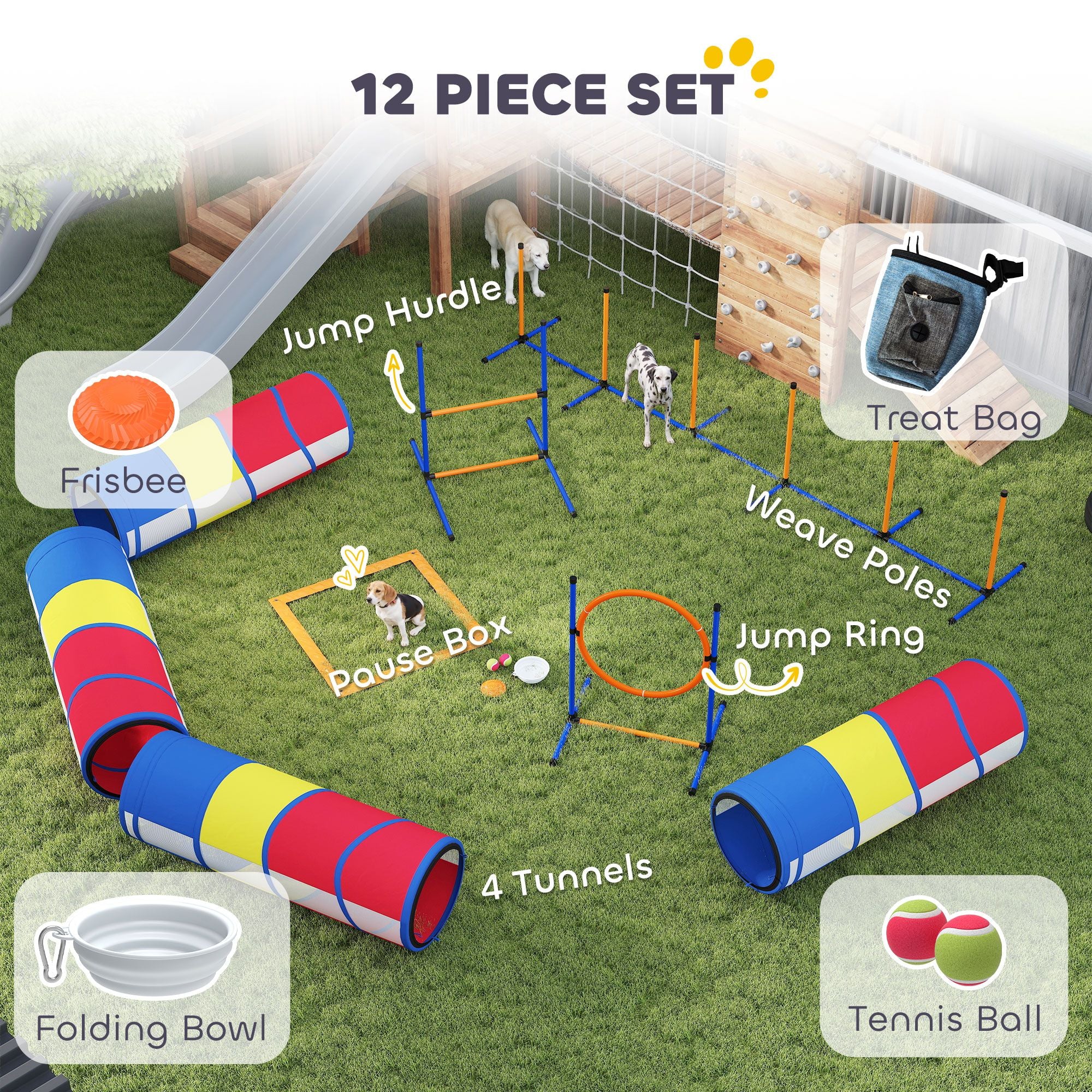 Turn Rainy Days into Doggy Olympics with This Complete Agility Set!