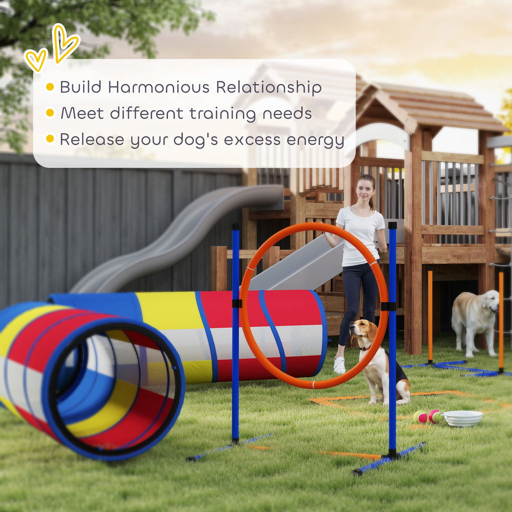 Turn Rainy Days into Doggy Olympics with This Complete Agility Set!