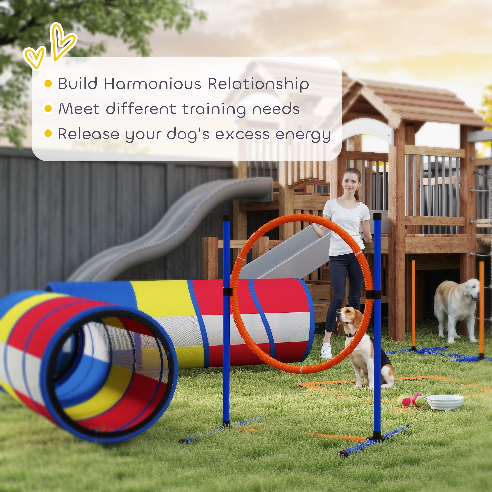 Turn Rainy Days into Doggy Olympics with This Complete Agility Set!