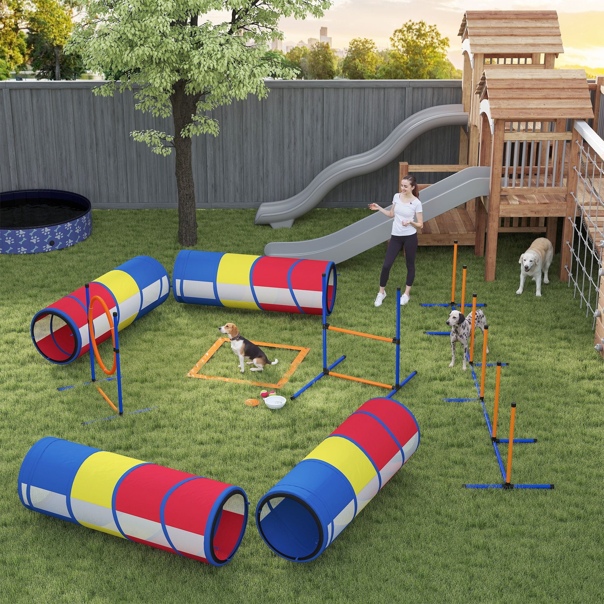 Turn Rainy Days into Doggy Olympics with This Complete Agility Set!