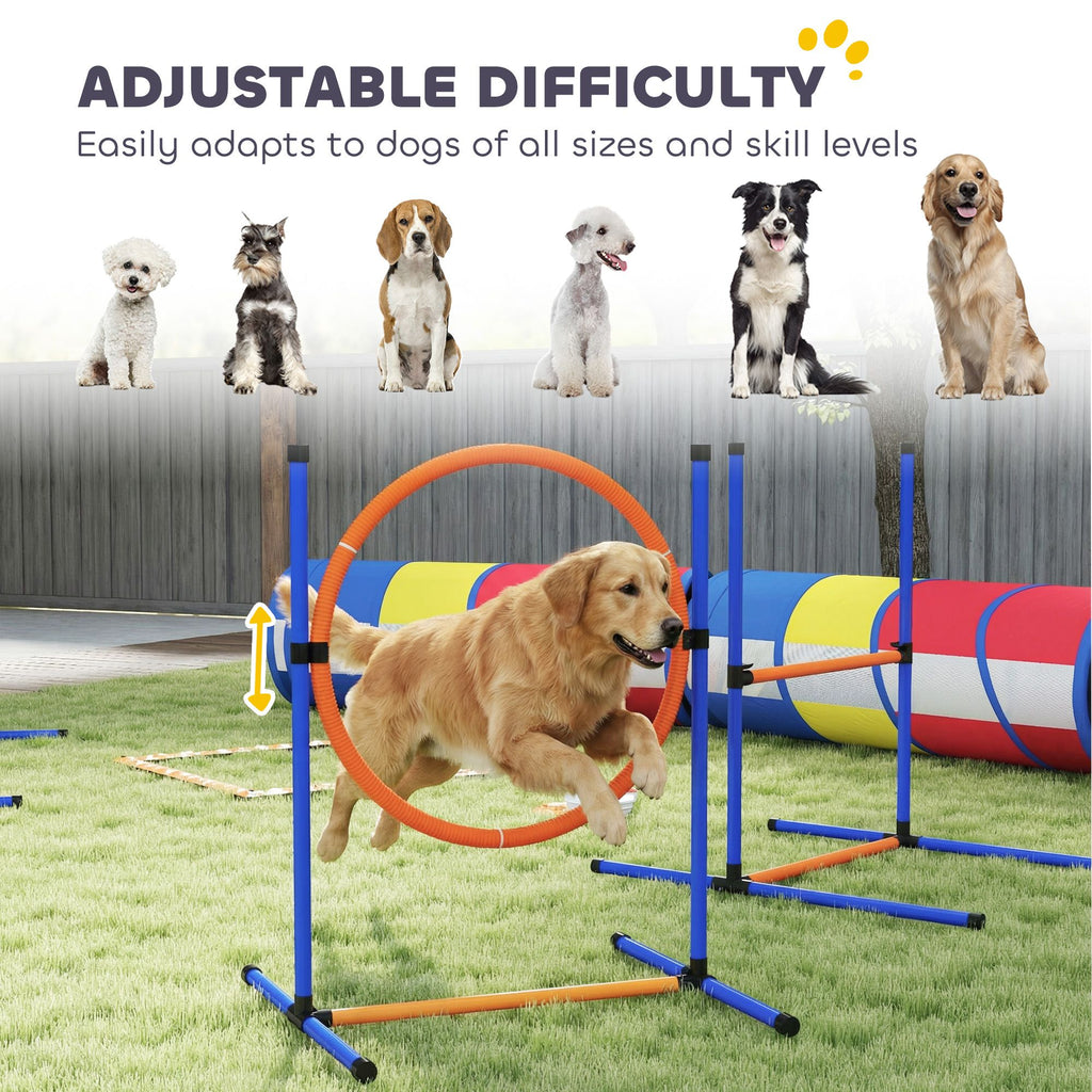 Turn Rainy Days into Doggy Olympics with This Complete Agility Set!