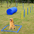 Complete Dog Agility Course Set for Outdoor Training
