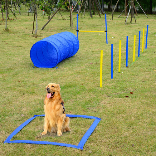 Complete Dog Agility Course Set for Outdoor Training