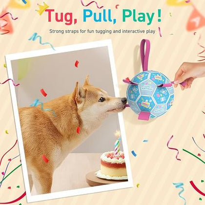 Score a Goal on Their Birthday with This 8-Inch Soccer Ball Dog Toy!