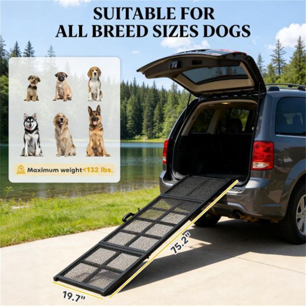 Dog car ramp, pet ramp