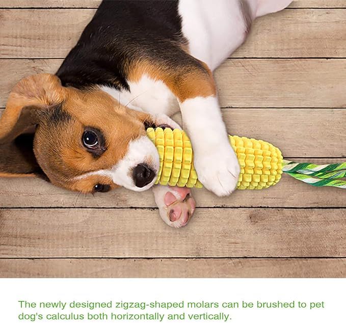 Dog Chew Toys for Aggressive Chewers Tough