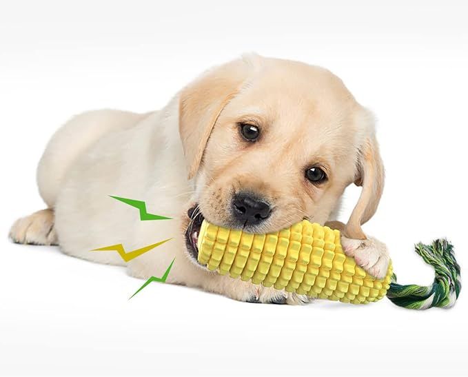 Dog Chew Toys for Aggressive Chewers Tough