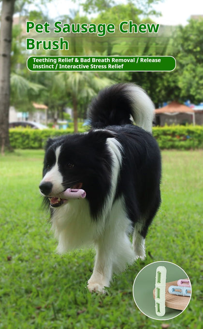 Make Teeth Brushing Fun with Our Sausage Chew Toy