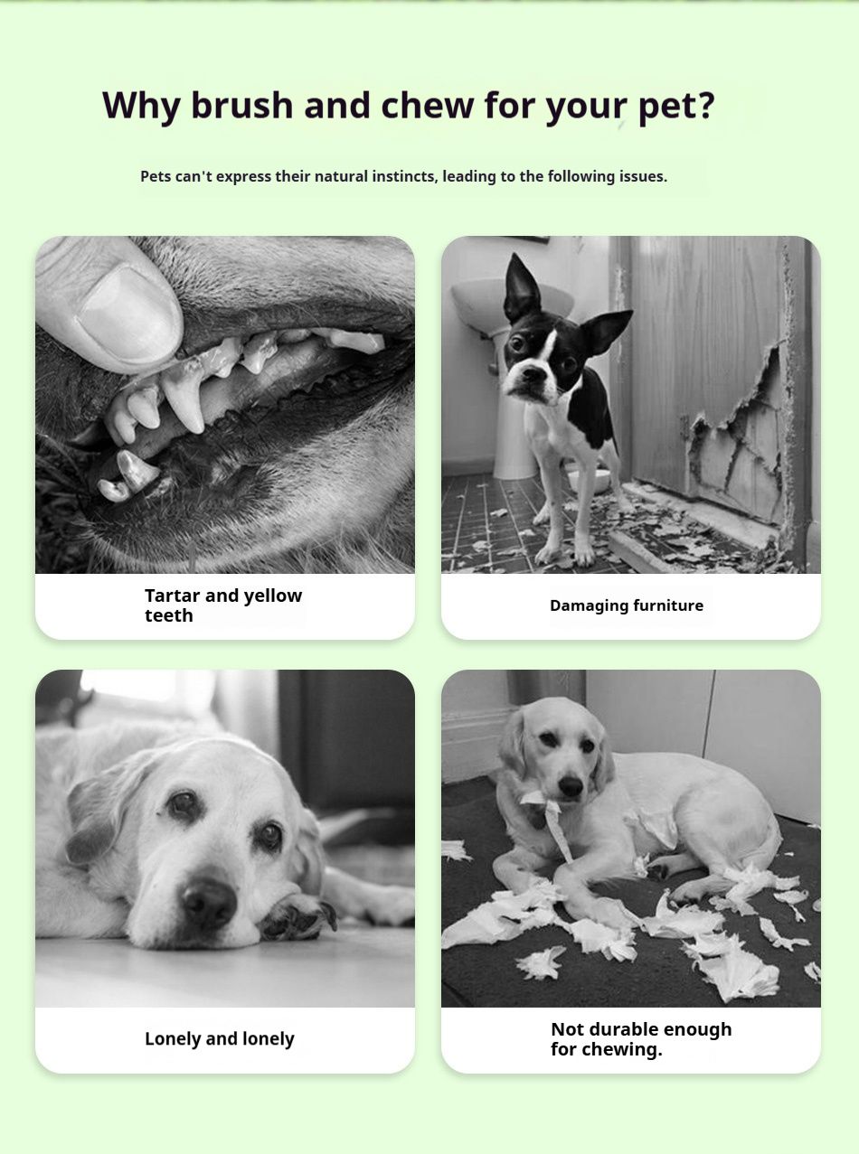 Make Teeth Brushing Fun with Our Sausage Chew Toy