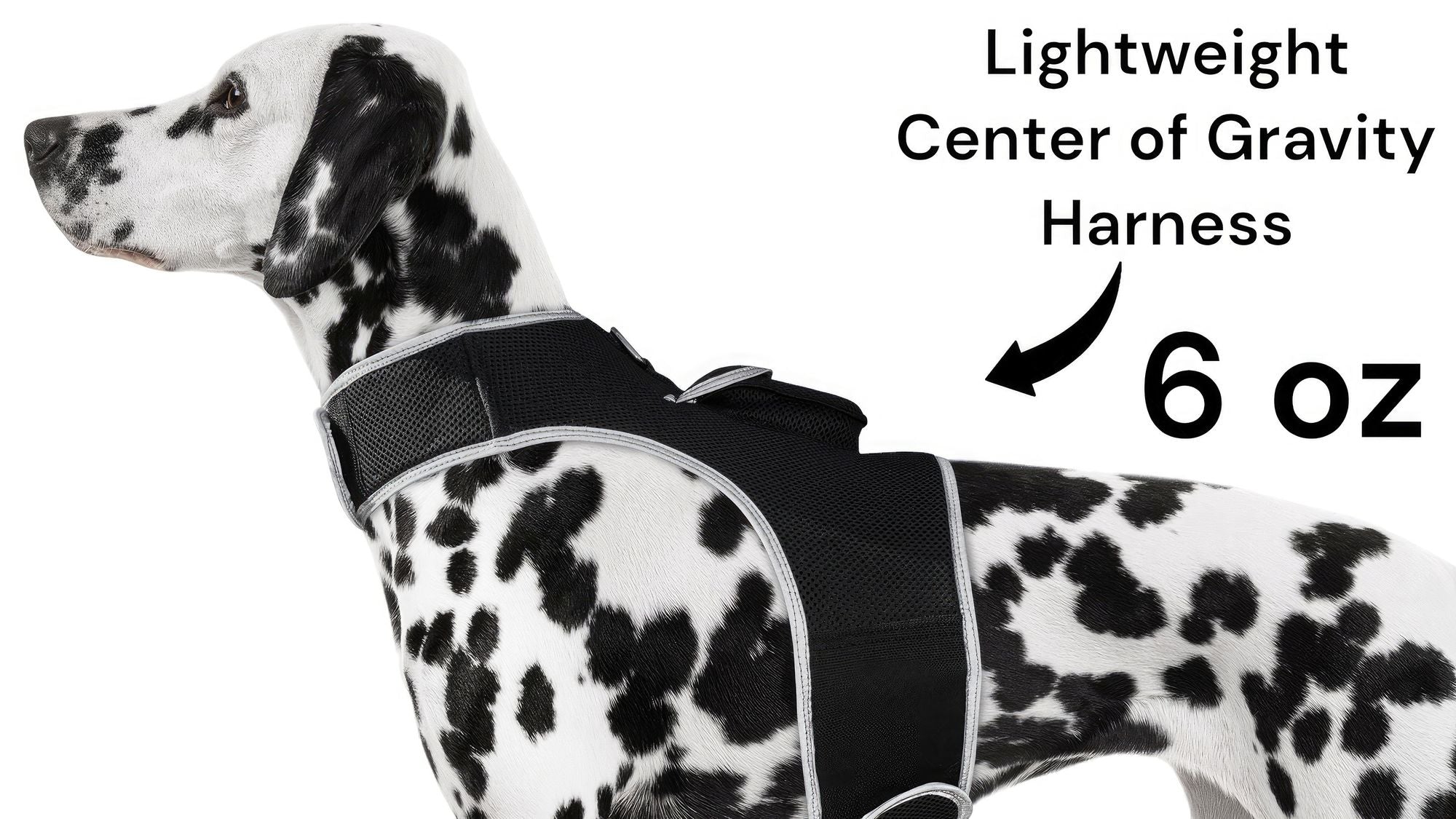 Never Lose Sight of Your Pet – Realtime GPS Tracking in a Comfortable Harness