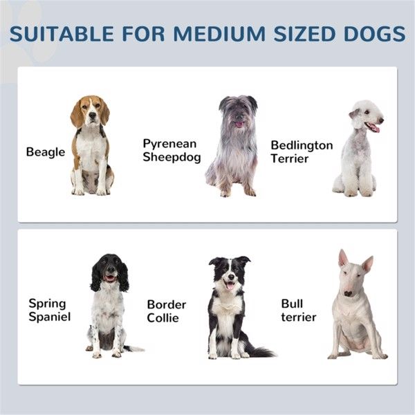Keep Your Dog's Food Fresh & Organized with This Storage Cabinet