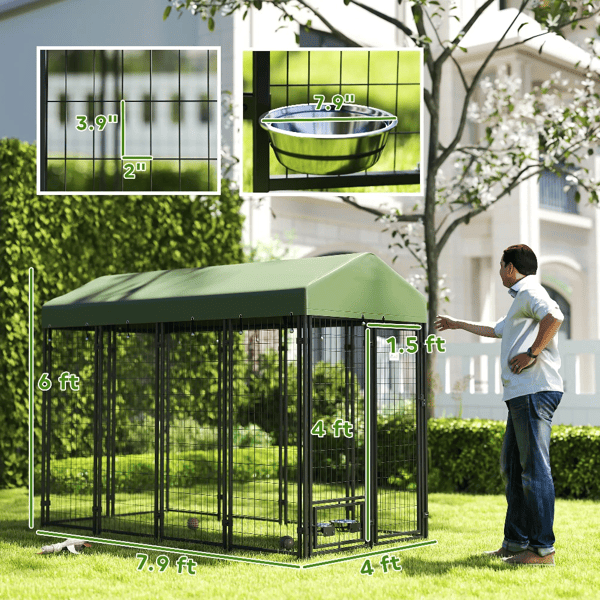 Dog House