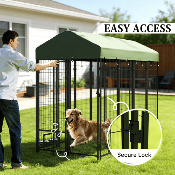 Dog House
