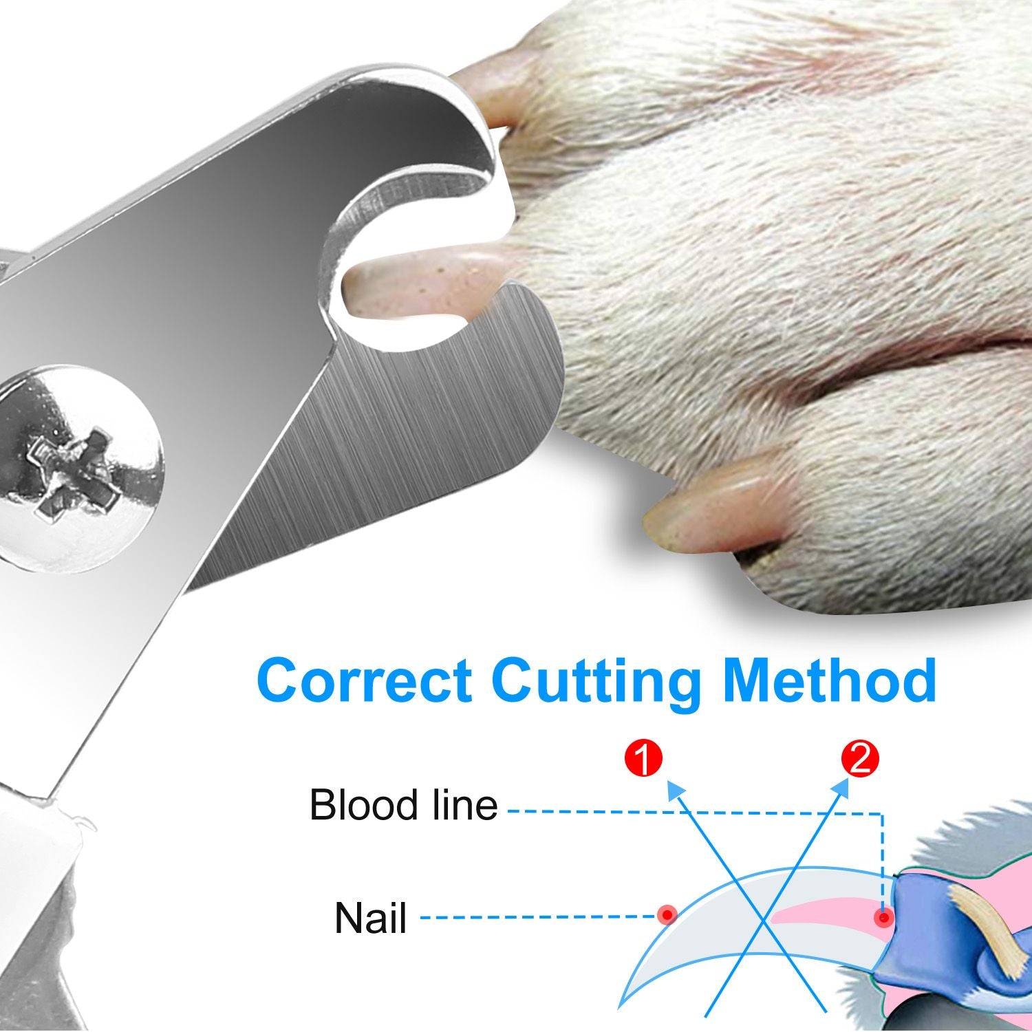 Sharp Stainless structured Dog Nail Clippers for Large Dogs