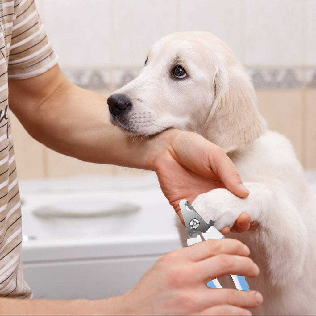 Sharp Stainless structured Dog Nail Clippers for Large Dogs