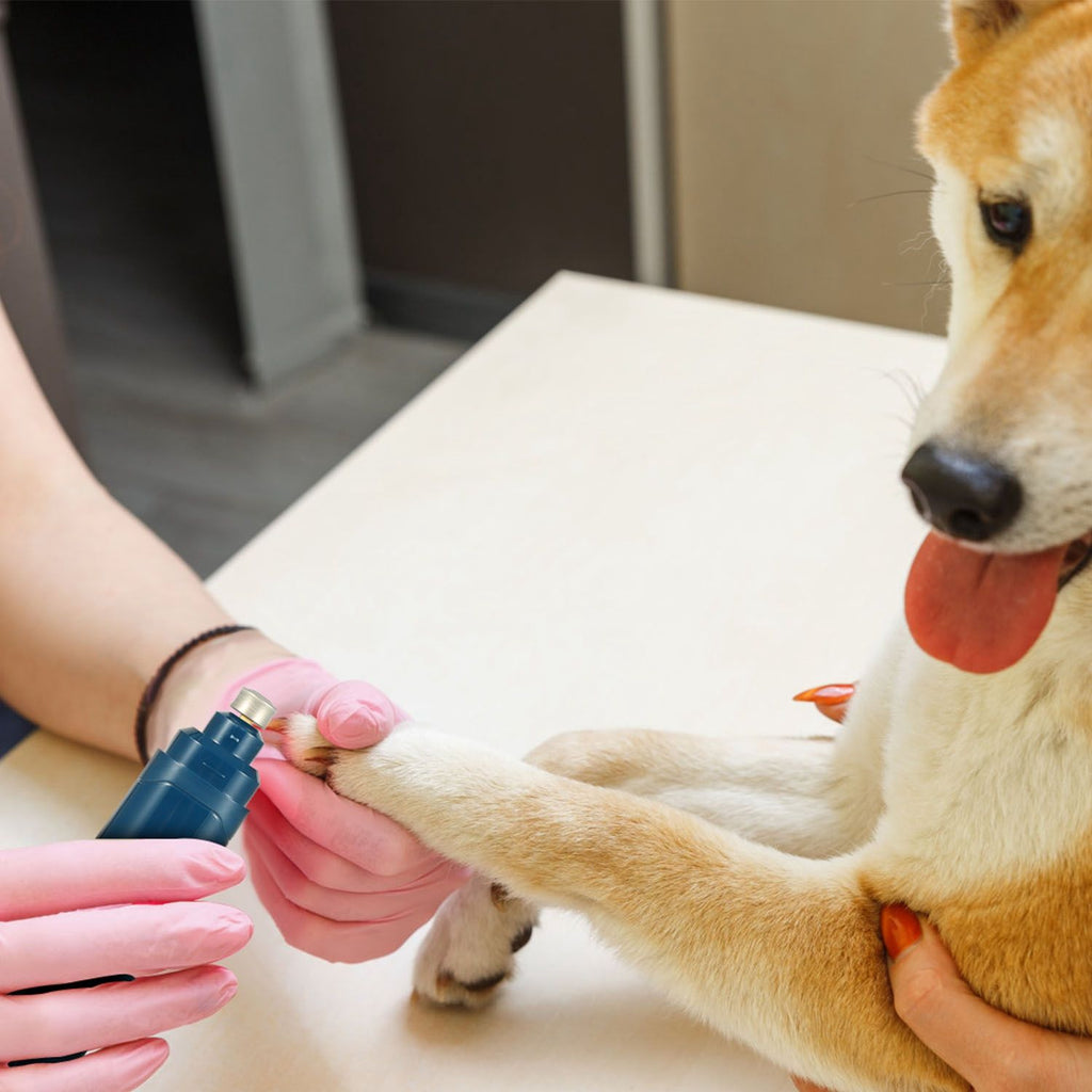 Quiet 2-Speed Dog Nail Grinder - USB Rechargeable & Cordless