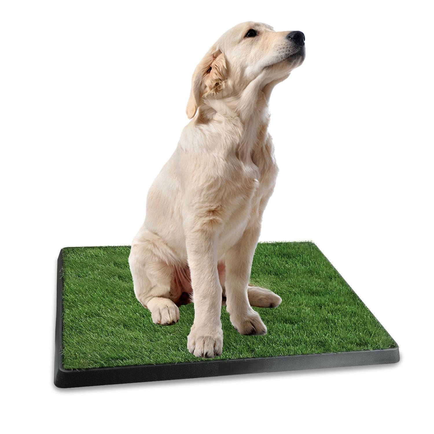 Artificial Grass Dog Potty Training Pad for Indoor Use