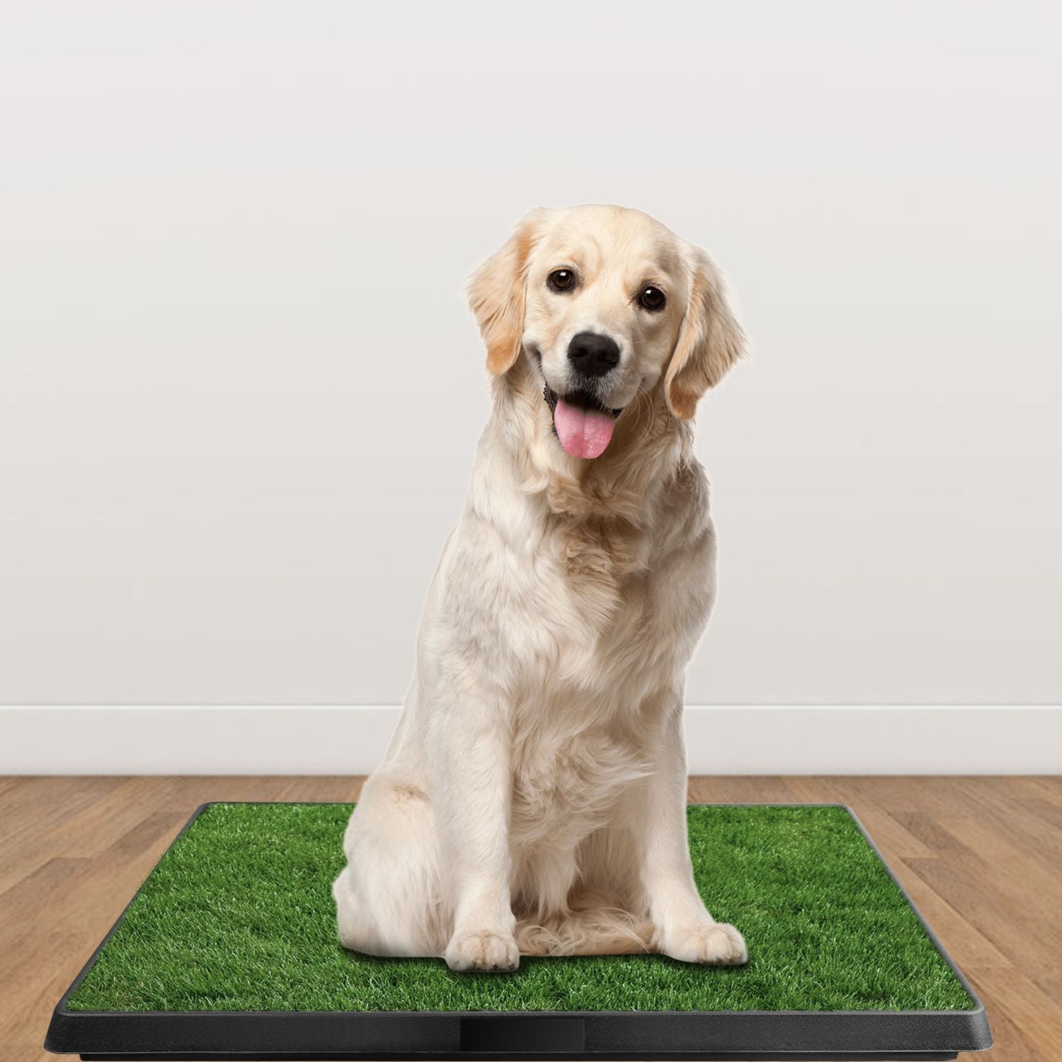Artificial Grass Dog Potty Training Pad for Indoor Use