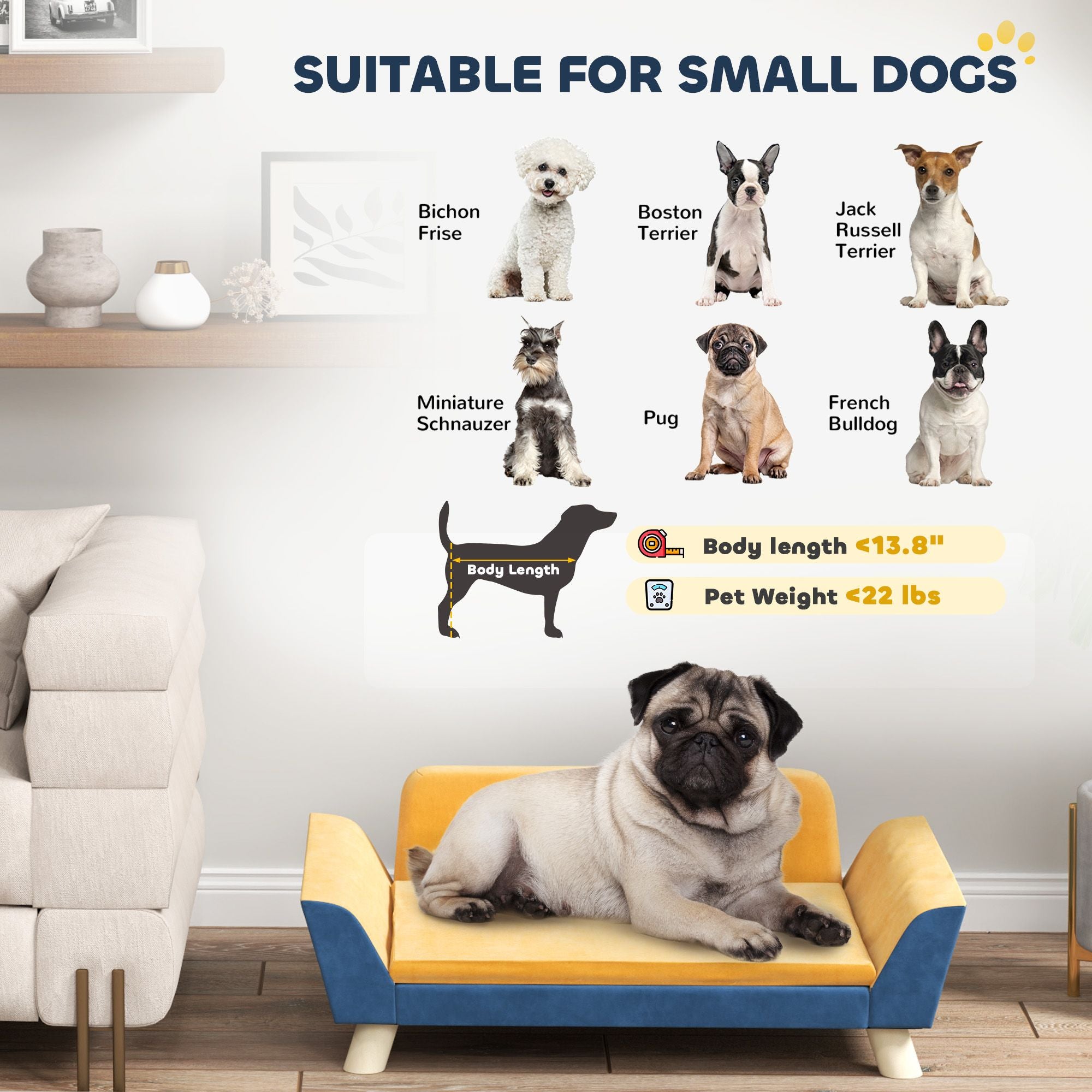 Give Your Small Dog a Cozy Couch of Their Own – Plush, Washable & Non-Slip