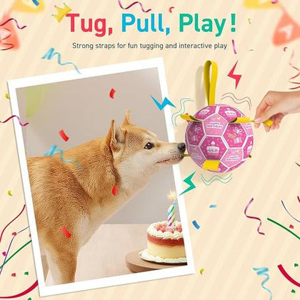 Squeaky Soccer Ball Toy for Dogs – Fun with Bell & Ropes