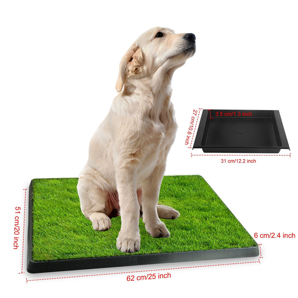 No More Messy Accidents: Your Dog's Own Indoor Potty Patch