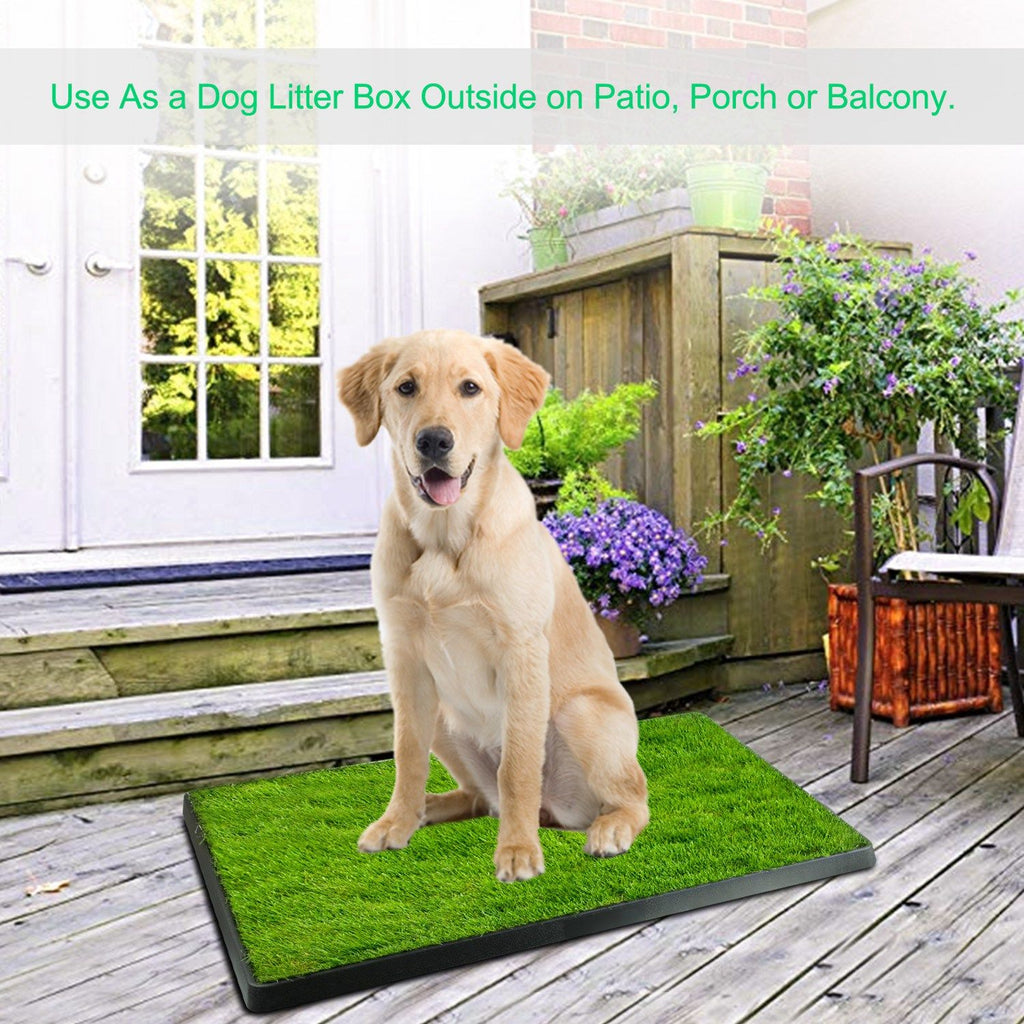 No More Messy Accidents: Your Dog's Own Indoor Potty Patch