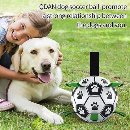 Perfect Soccer Ball Toy for Puppies – Fun Herding & Fetch with Easy-Grip Straps