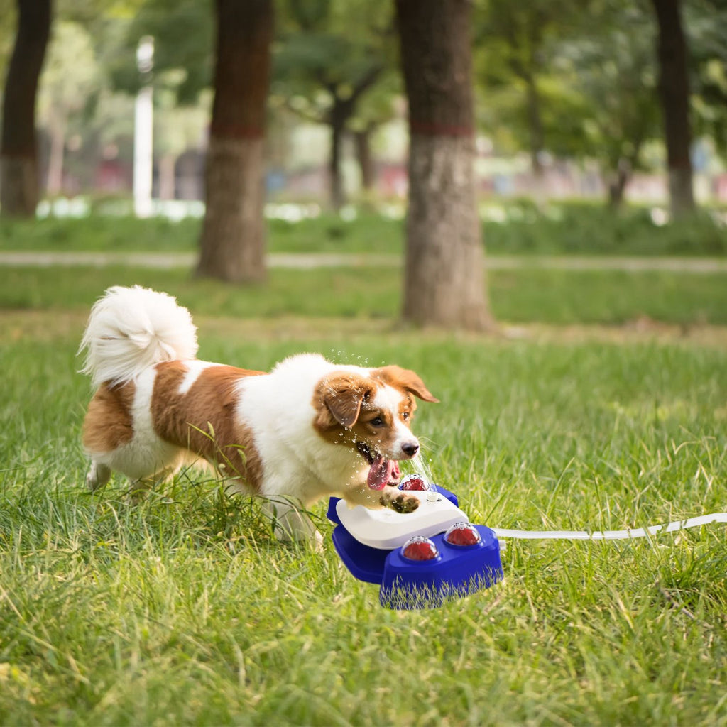 Automatic Dog Water Fountain with Sprinkler for Drinking and Fun