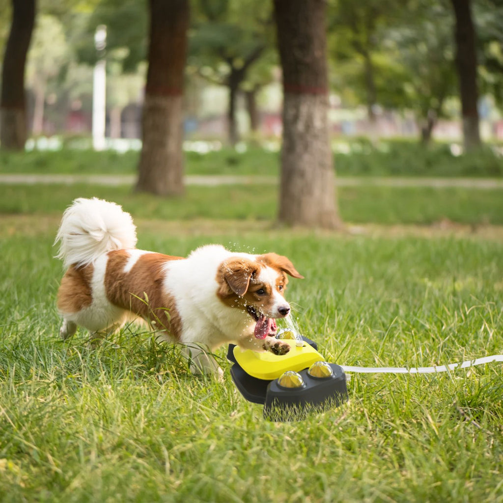 Automatic Dog Water Fountain with Sprinkler for Drinking and Fun