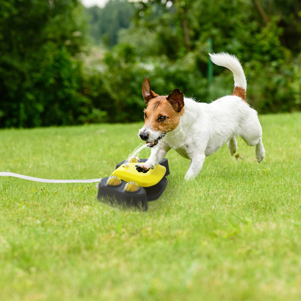 Automatic Dog Water Fountain with Sprinkler for Drinking and Fun