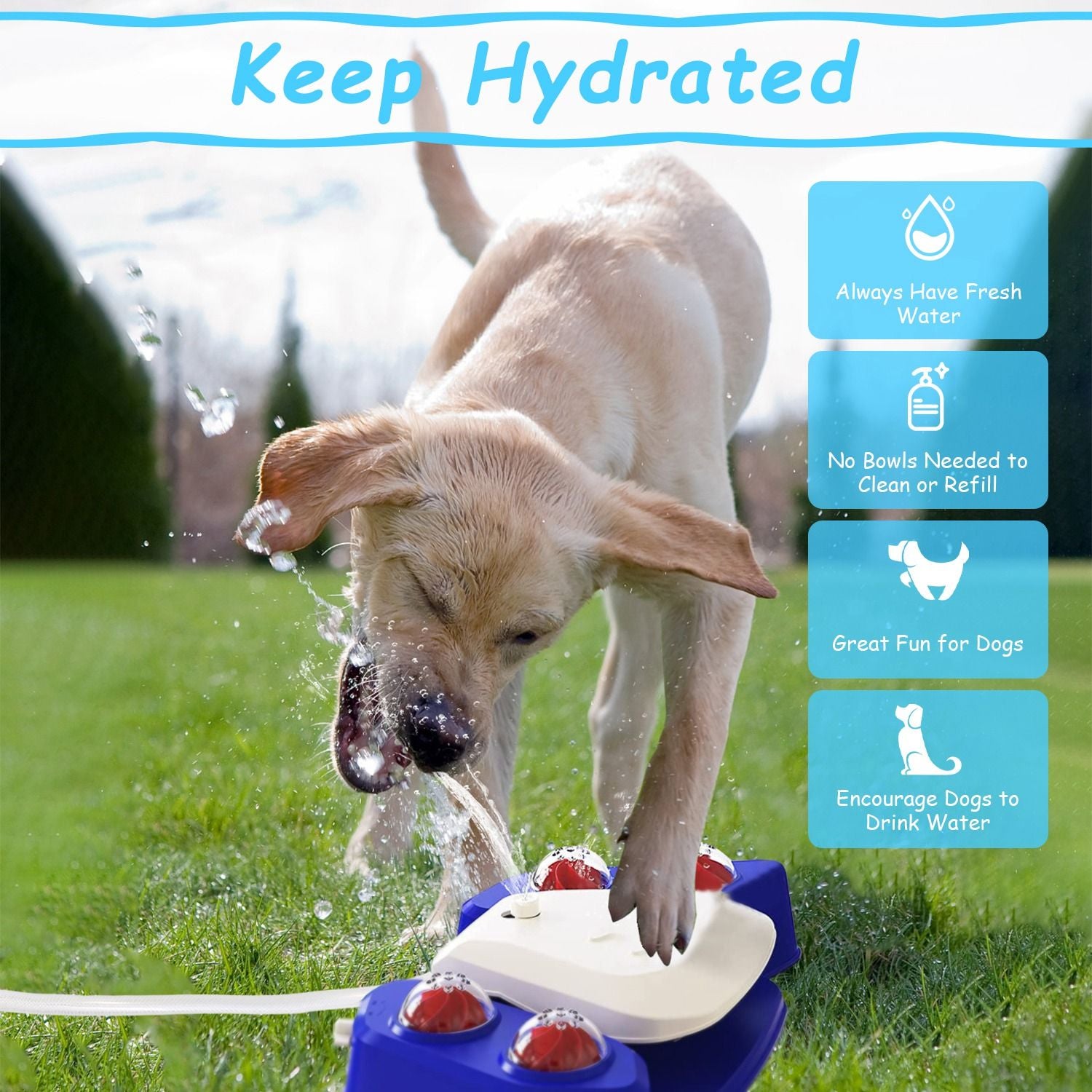 Automatic Dog Water Fountain with Sprinkler for Drinking and Fun