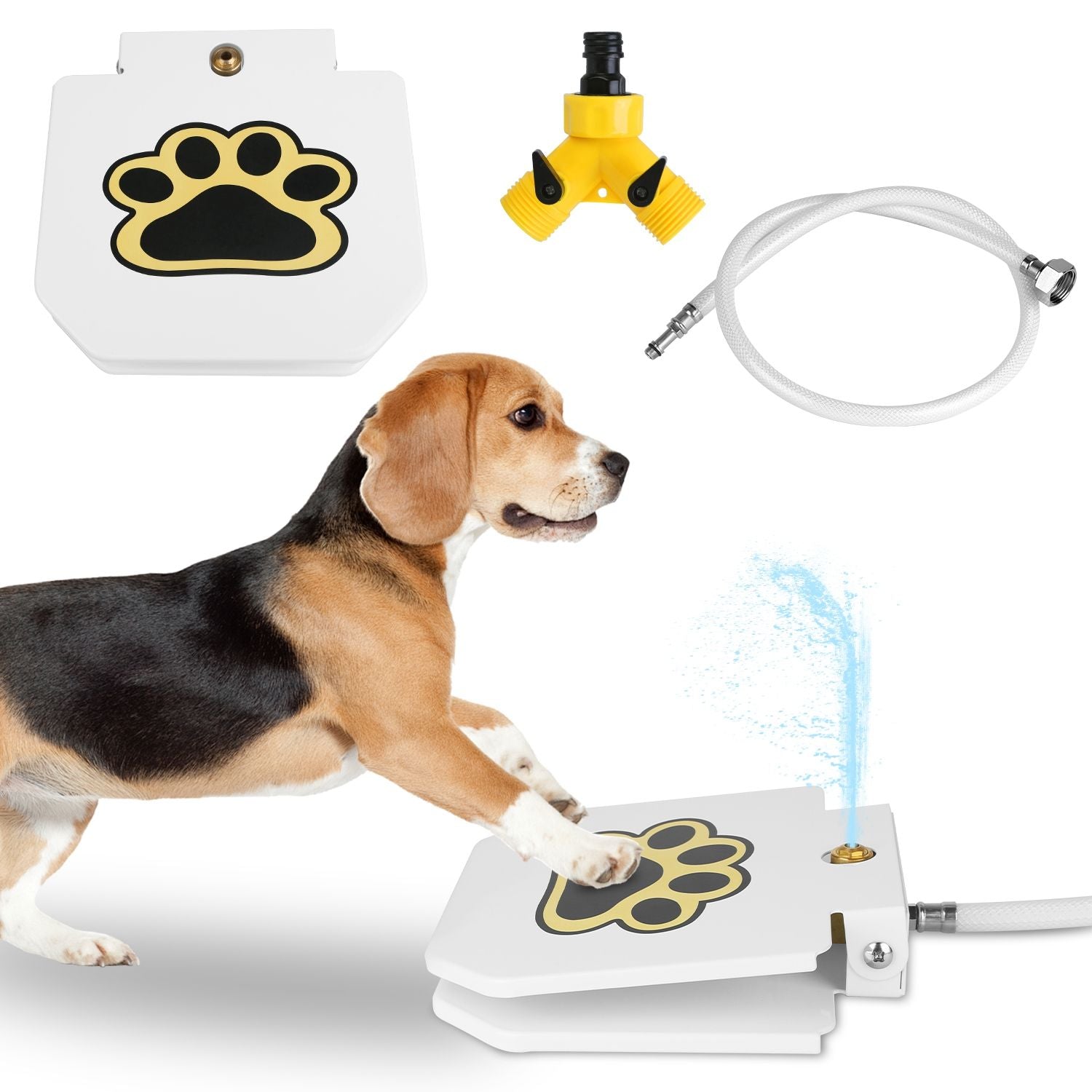 Never Refill a Water Bowl Again – Fresh Water On Demand!