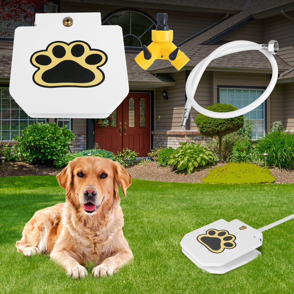 Never Refill a Water Bowl Again – Fresh Water On Demand!