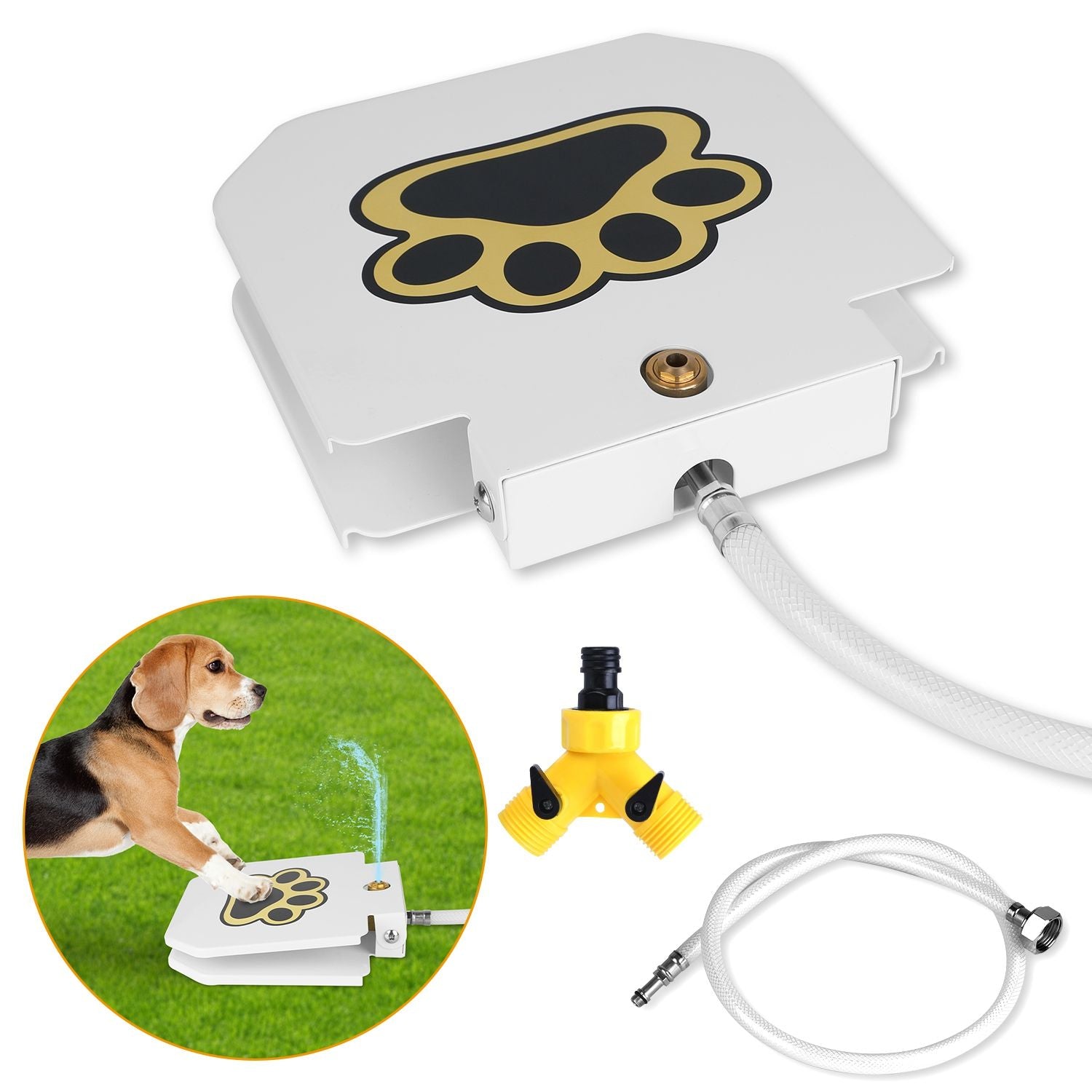 Never Refill a Water Bowl Again – Fresh Water On Demand!