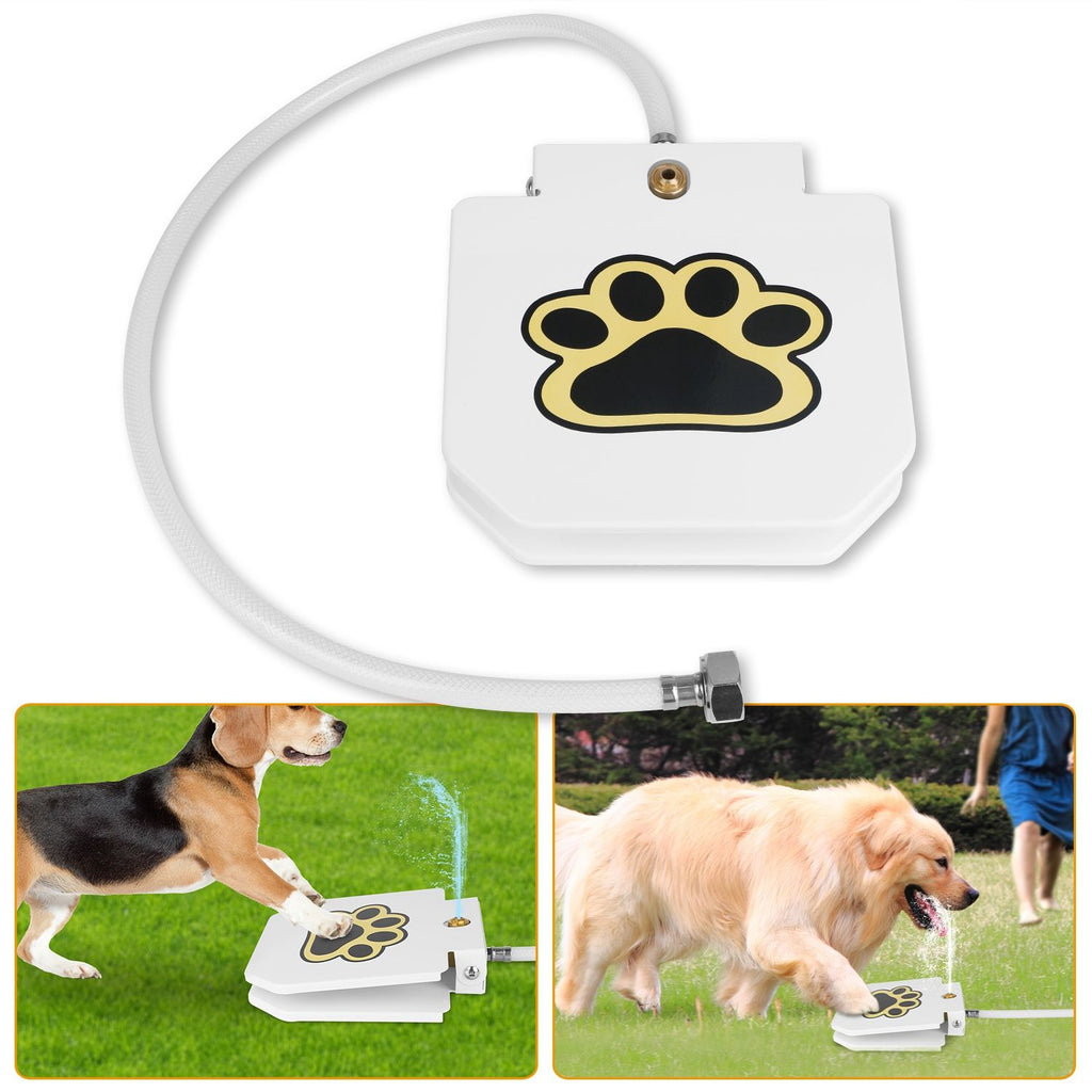 Never Refill a Water Bowl Again – Fresh Water On Demand!