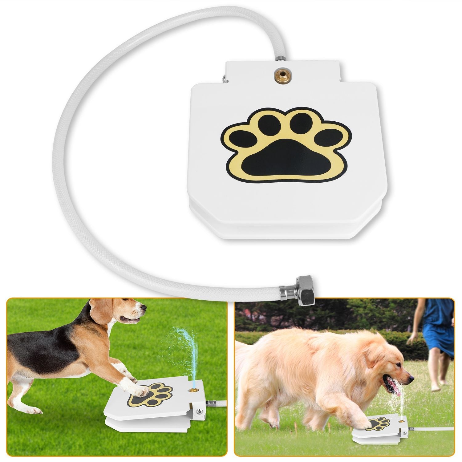 Never Refill a Water Bowl Again – Fresh Water On Demand!